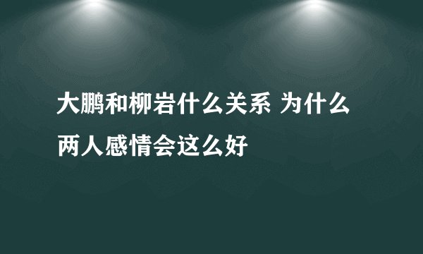 大鹏和柳岩什么关系 为什么两人感情会这么好