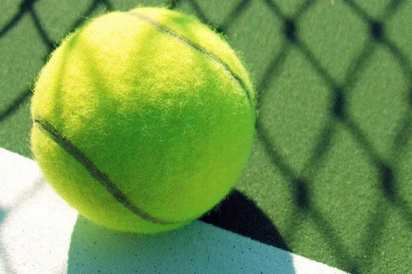 tennis怎么读