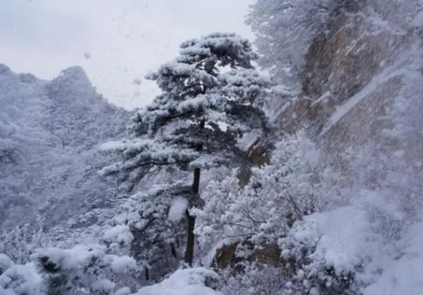 北风那个吹,雪花那个飘是什么歌?
