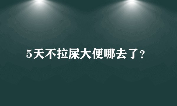 5天不拉屎大便哪去了？