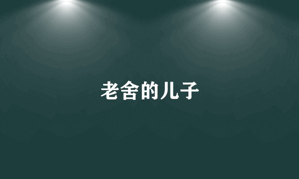 老舍的儿子