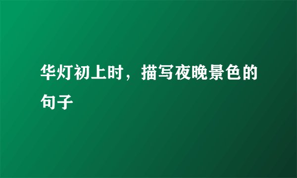 华灯初上时，描写夜晚景色的句子