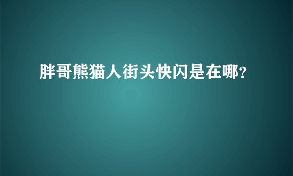 胖哥熊猫人街头快闪是在哪？