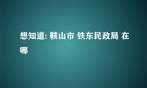 想知道: 鞍山市 铁东民政局 在哪