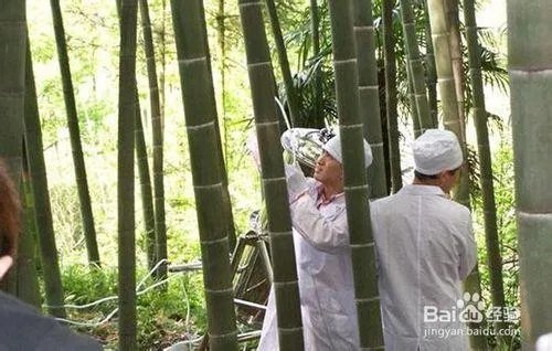 竹筒酒的酒是怎么装进去的？