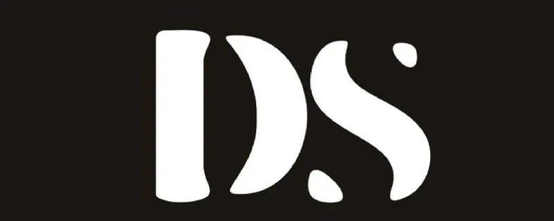 ds什么意思