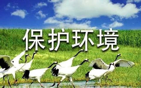 保护环境作文600字