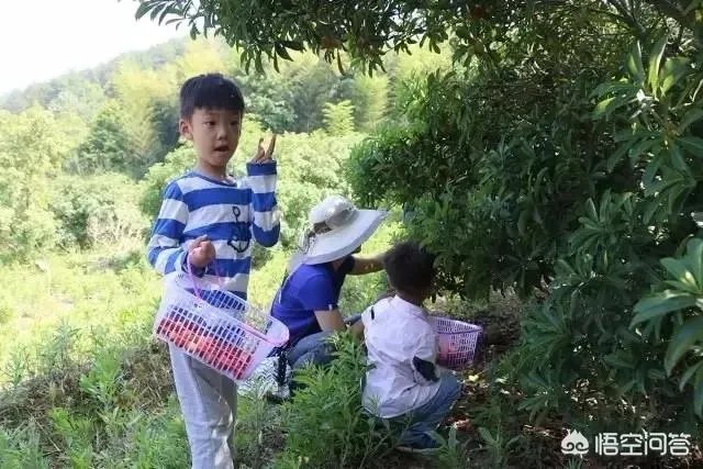 你看好休闲农庄的前景吗?