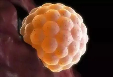 试管婴儿哪家医院做的最好-试管婴儿医院