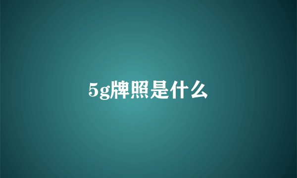 5g牌照是什么