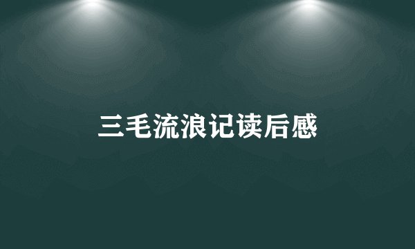 三毛流浪记读后感