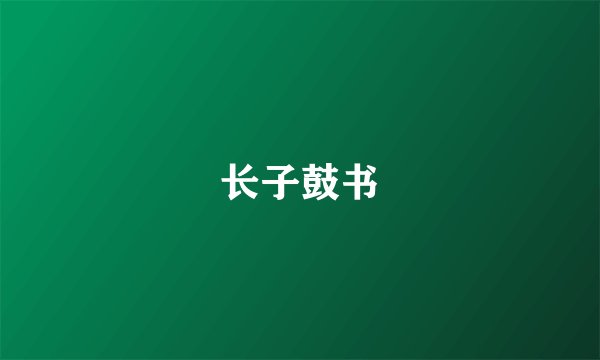长子鼓书