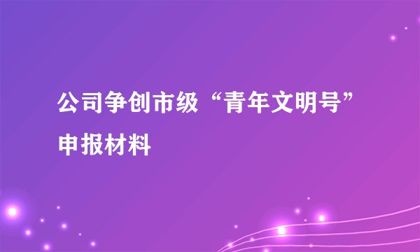 公司争创市级“青年文明号”申报材料
