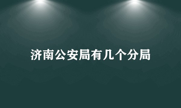 济南公安局有几个分局