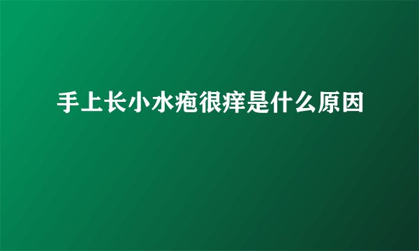 手上长小水疱很痒是什么原因