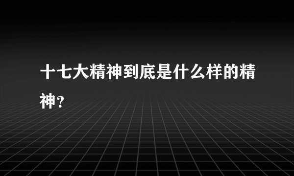 十七大精神到底是什么样的精神?