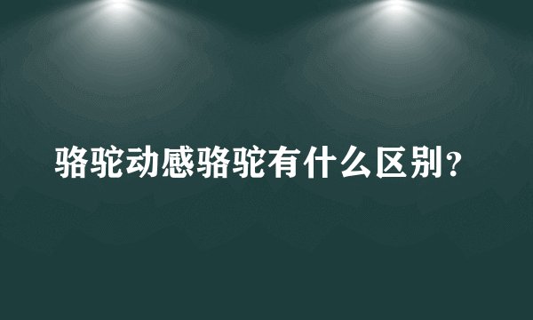 骆驼动感骆驼有什么区别？