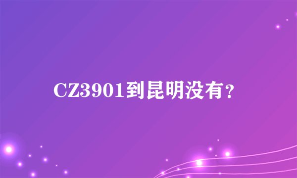 CZ3901到昆明没有？