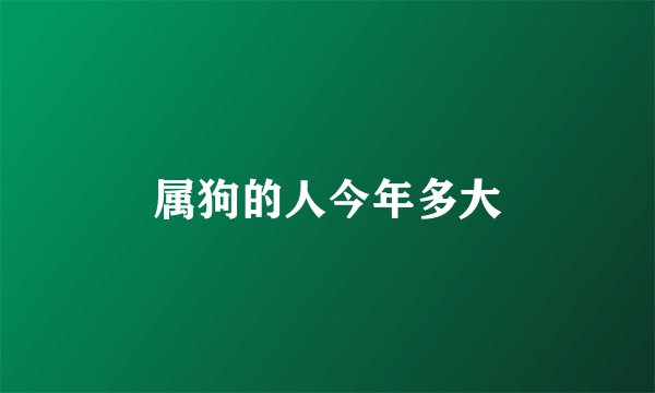属狗的人今年多大