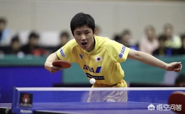 保公赛马龙3-4不敌皮切福德,日本赛2-4不敌张本智和,龙队究竟怎么了?