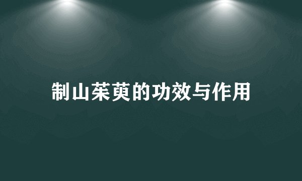 制山茱萸的功效与作用