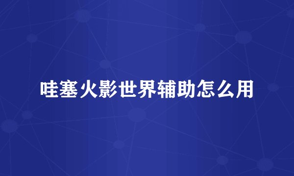哇塞火影世界辅助怎么用