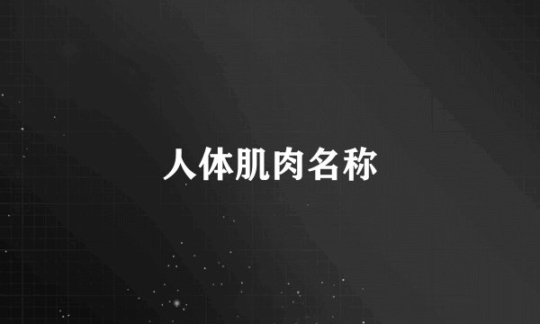 人体肌肉名称
