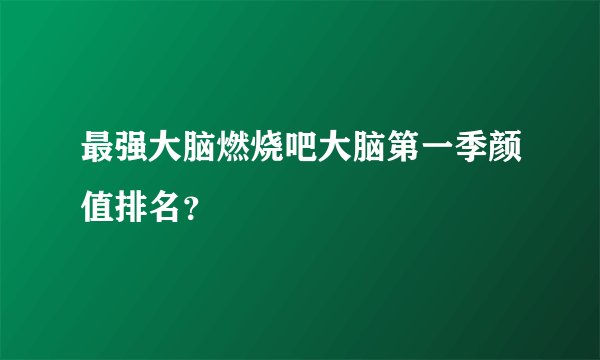 最强大脑燃烧吧大脑第一季颜值排名？