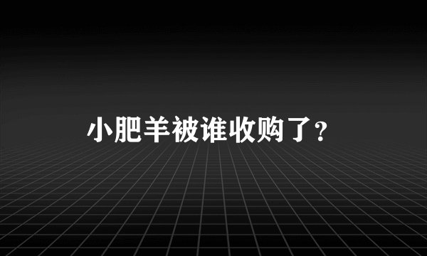 小肥羊被谁收购了？