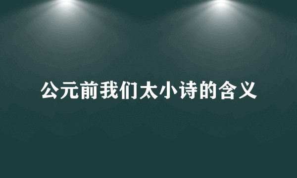 公元前我们太小诗的含义