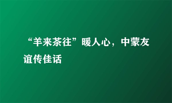 “羊来茶往”暖人心，中蒙友谊传佳话