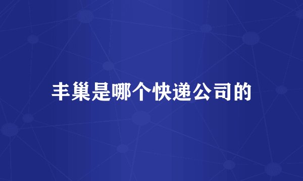 丰巢是哪个快递公司的