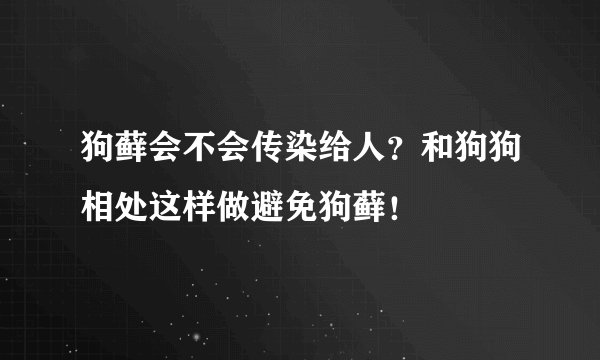 狗藓会不会传染给人？和狗狗相处这样做避免狗藓！