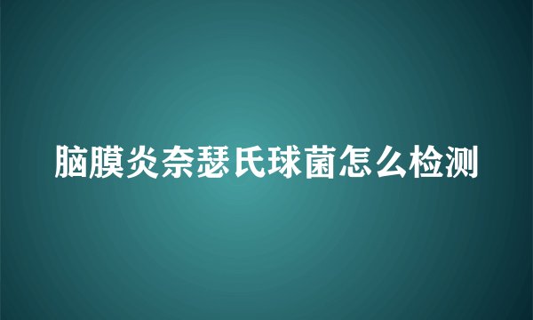 脑膜炎奈瑟氏球菌怎么检测