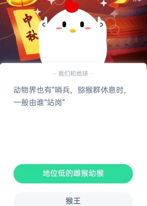动物界也有哨兵,猕猴群休息时,一般由谁站岗