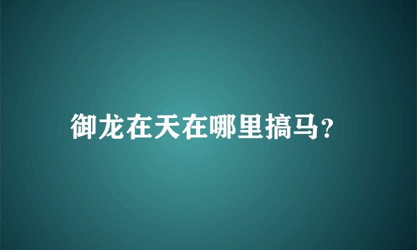 御龙在天在哪里搞马？
