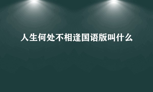 人生何处不相逢国语版叫什么