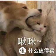如何选购学生台灯?看这一篇就够了