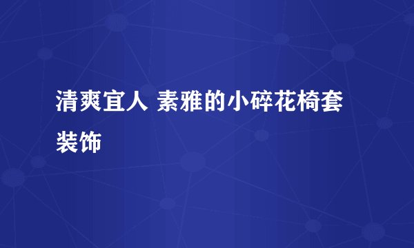 清爽宜人 素雅的小碎花椅套装饰
