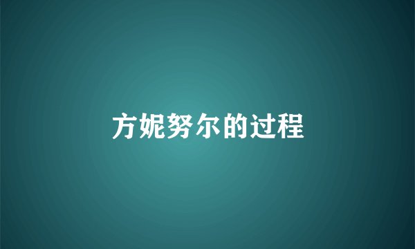 方妮努尔的过程