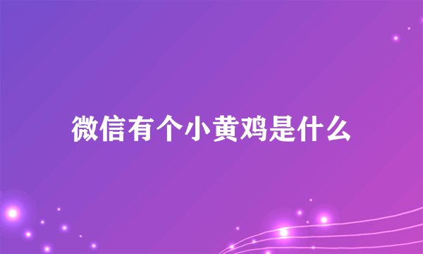 微信有个小黄鸡是什么