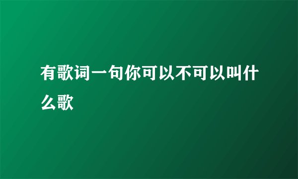 有歌词一句你可以不可以叫什么歌