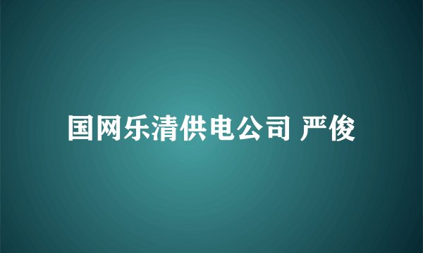 国网乐清供电公司 严俊
