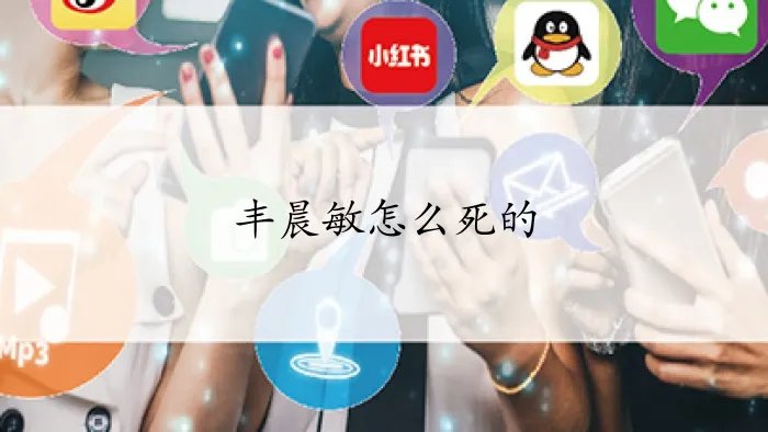 丰晨敏怎么死的