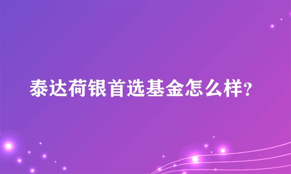 泰达荷银首选基金怎么样？