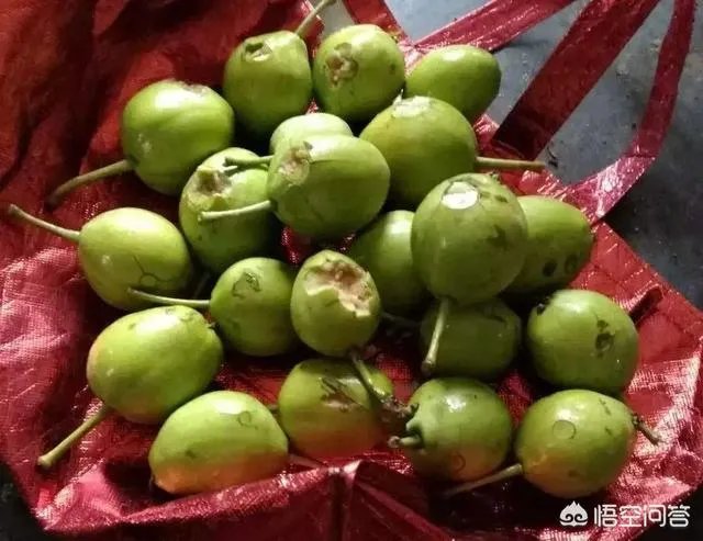山东,四川等地有冰雹,对农作物损害非常大,你怎么看?