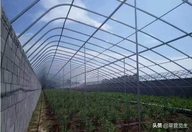 温室大棚的工作原理是什么?