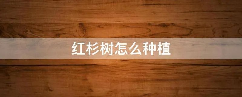 红杉树怎么种植