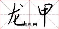 龙甲