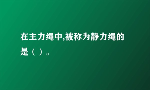 在主力绳中,被称为静力绳的是（）。